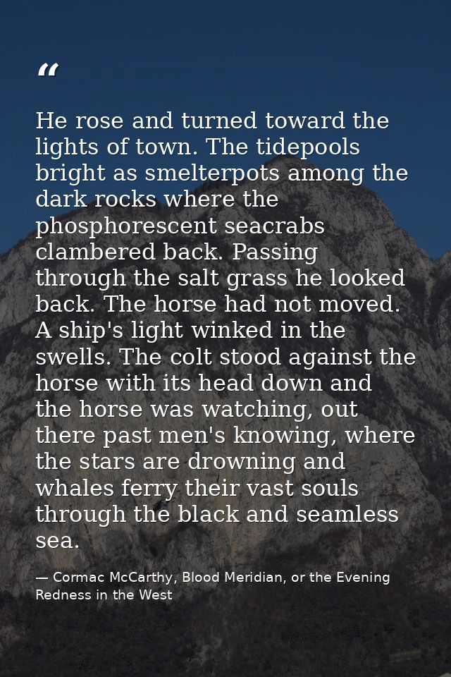 He rose and turned toward the lights of town. The tidepools bright as smelterpots among the dark rocks where the phospho — Cormac McCarthy, Blood Meridian, or the Evening Redness in the West