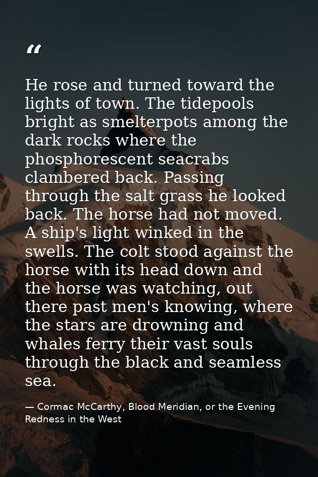 He rose and turned toward the lights of town. The tidepools bright as smelterpots among the dark rocks where the phospho — Cormac McCarthy, Blood Meridian, or the Evening Redness in the West