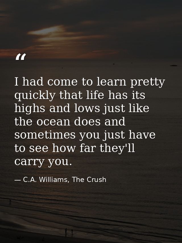 I had come to learn pretty quickly that life has its highs and lows just like the ocean does and sometimes you just have — C.A. Williams, The Crush