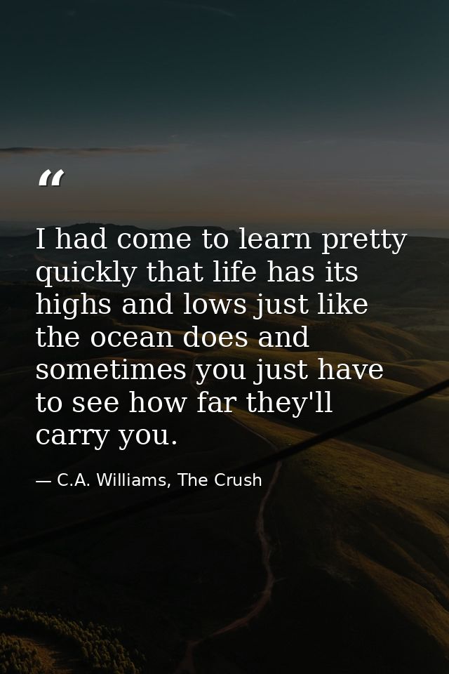 I had come to learn pretty quickly that life has its highs and lows just like the ocean does and sometimes you just have — C.A. Williams, The Crush