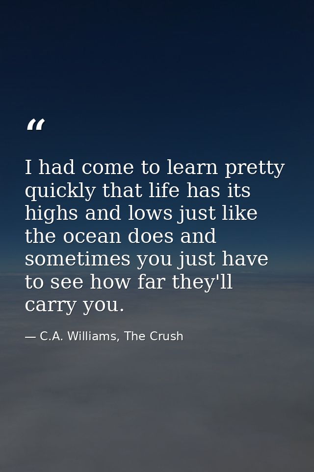 I had come to learn pretty quickly that life has its highs and lows just like the ocean does and sometimes you just have — C.A. Williams, The Crush