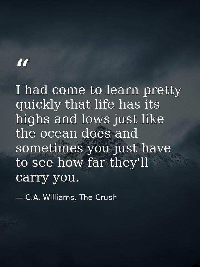 I had come to learn pretty quickly that life has its highs and lows just like the ocean does and sometimes you just have — C.A. Williams, The Crush
