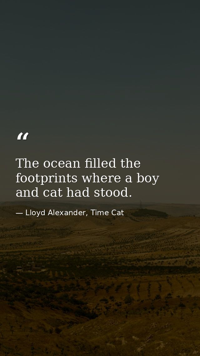 The ocean filled the footprints where a boy and cat had stood. — Lloyd Alexander, Time Cat