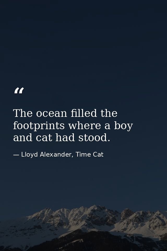The ocean filled the footprints where a boy and cat had stood. — Lloyd Alexander, Time Cat