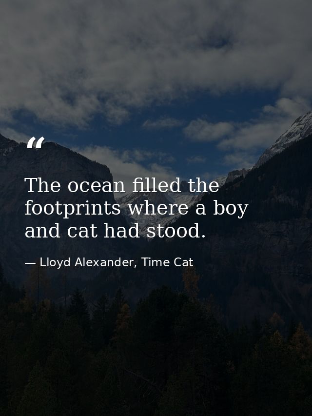 The ocean filled the footprints where a boy and cat had stood. — Lloyd Alexander, Time Cat