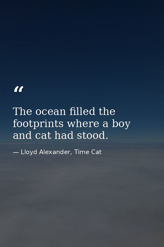 The ocean filled the footprints where a boy and cat had stood. — Lloyd Alexander, Time Cat