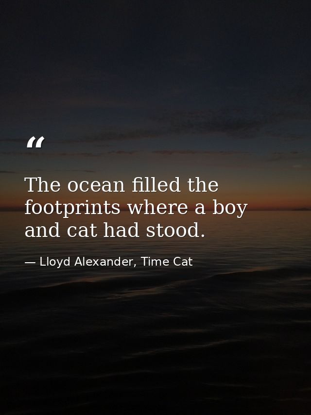 The ocean filled the footprints where a boy and cat had stood. — Lloyd Alexander, Time Cat