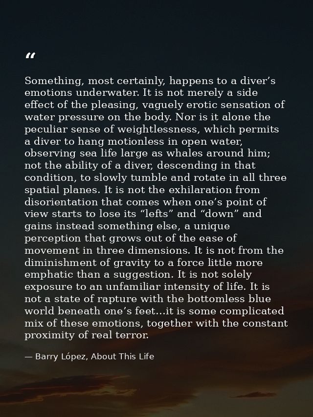 Something, most certainly, happens to a diver’s emotions underwater. It is not merely a side effect of the pleasing, vag — Barry López, About This Life