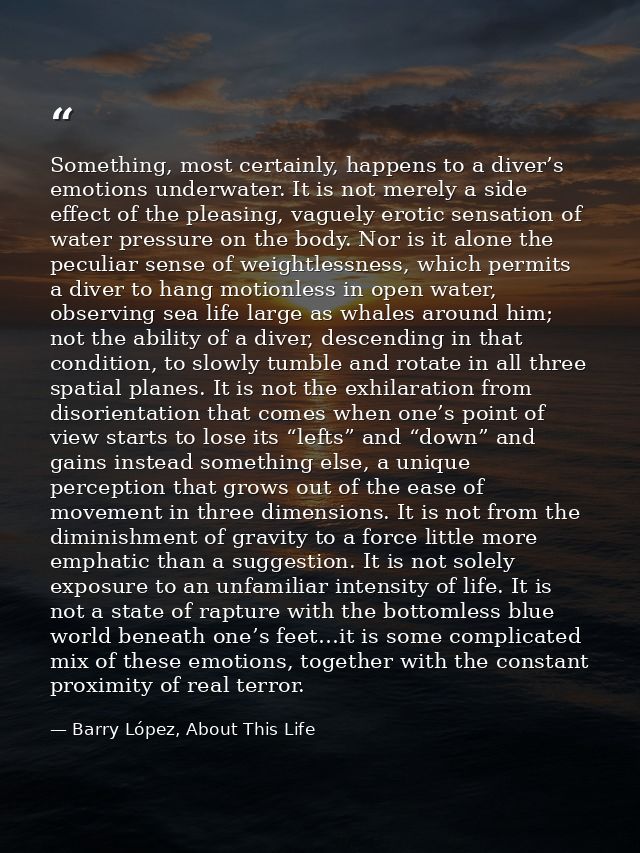 Something, most certainly, happens to a diver’s emotions underwater. It is not merely a side effect of the pleasing, vag — Barry López, About This Life