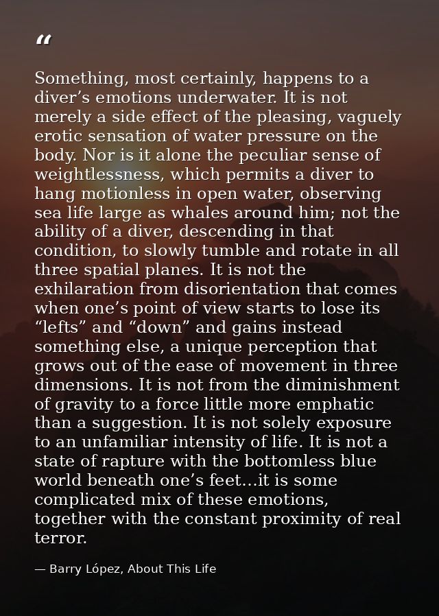 Something, most certainly, happens to a diver’s emotions underwater. It is not merely a side effect of the pleasing, vag — Barry López, About This Life