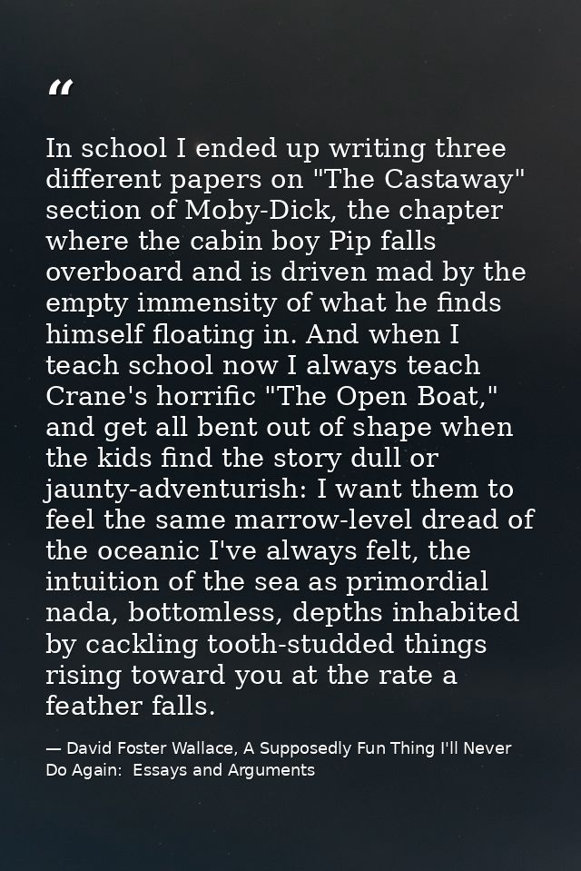 In school I ended up writing three different papers on "The Castaway" section of Moby-Dick, the chapter where the cabin  — David Foster Wallace, A Supposedly Fun Thing I'll Never Do Again:  Essays and Arguments