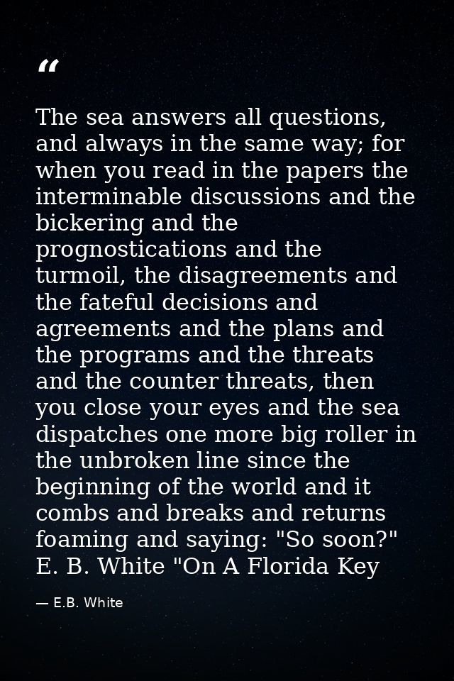 The sea answers all questions, and always in the same way; for when you read in the papers the interminable discussions  — E.B. White