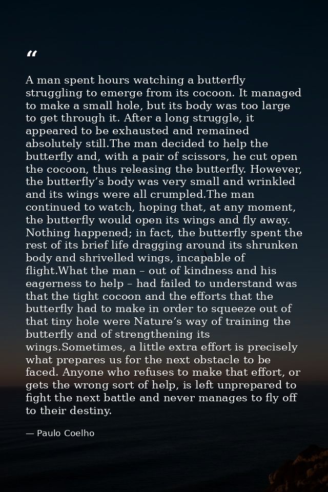 A man spent hours watching a butterfly struggling to emerge from its cocoon. It managed to make a small hole, but its bo — Paulo Coelho