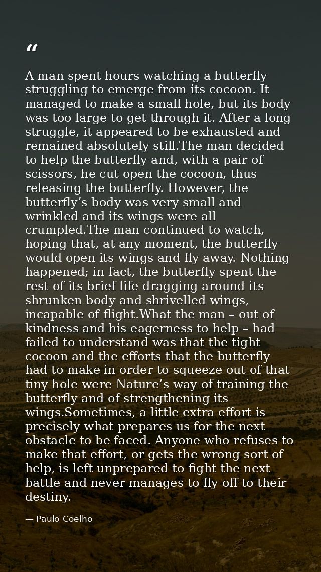 A man spent hours watching a butterfly struggling to emerge from its cocoon. It managed to make a small hole, but its bo — Paulo Coelho