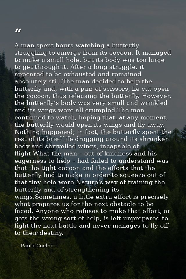 A man spent hours watching a butterfly struggling to emerge from its cocoon. It managed to make a small hole, but its bo — Paulo Coelho