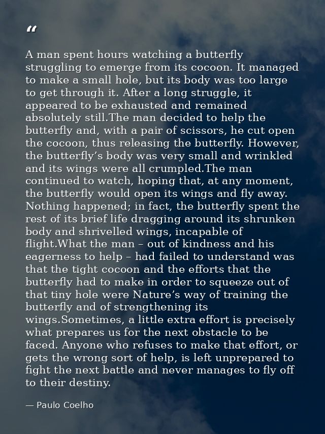 A man spent hours watching a butterfly struggling to emerge from its cocoon. It managed to make a small hole, but its bo — Paulo Coelho