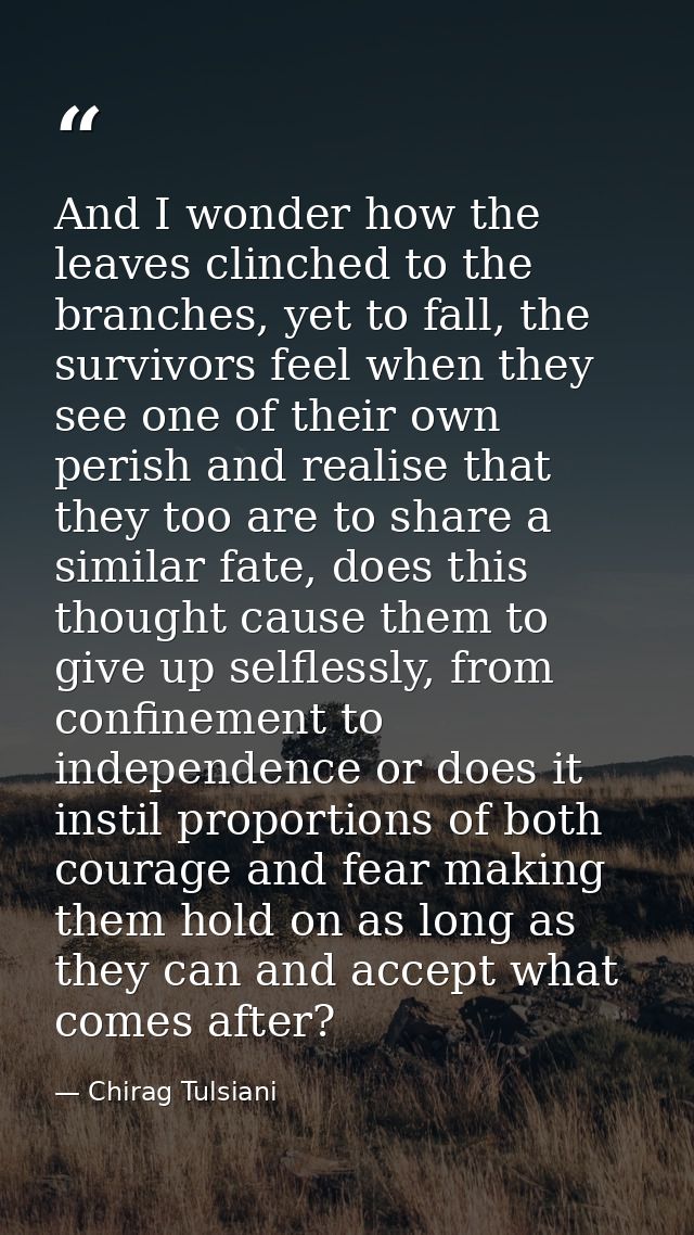 And I wonder how the leaves clinched to the branches, yet to fall, the survivors feel when they see one of their own per — Chirag Tulsiani