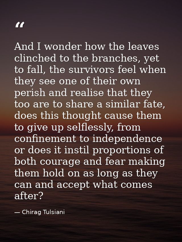 And I wonder how the leaves clinched to the branches, yet to fall, the survivors feel when they see one of their own per — Chirag Tulsiani