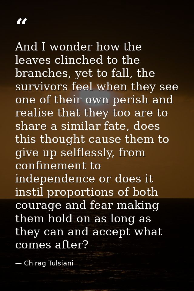 And I wonder how the leaves clinched to the branches, yet to fall, the survivors feel when they see one of their own per — Chirag Tulsiani