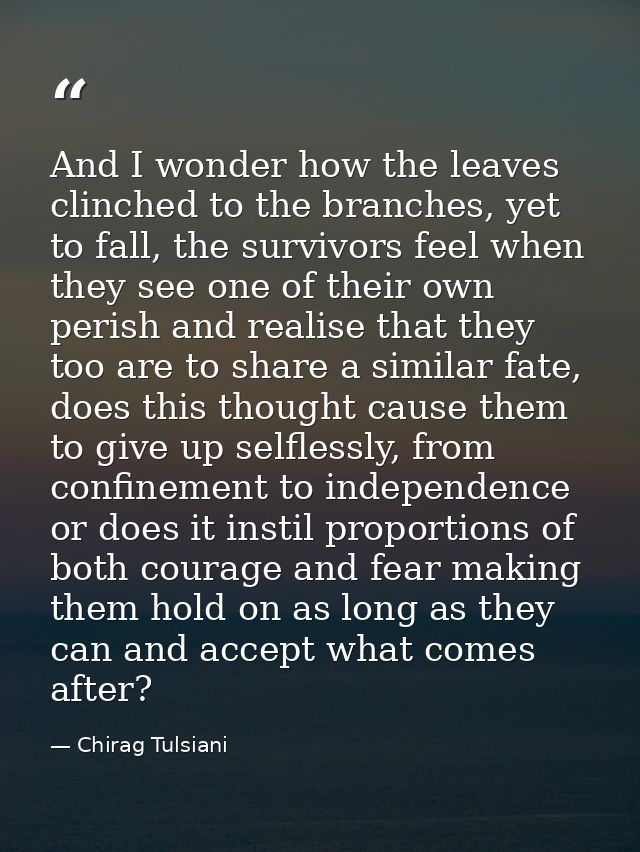 And I wonder how the leaves clinched to the branches, yet to fall, the survivors feel when they see one of their own per — Chirag Tulsiani