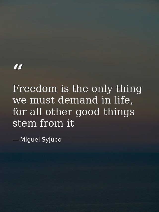 Freedom is the only thing we must demand in life, for all other good things stem from it — Miguel Syjuco