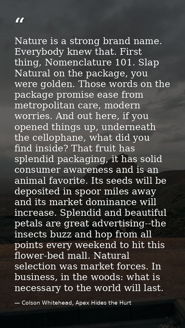 Nature is a strong brand name. Everybody knew that. First thing, Nomenclature 101. Slap Natural on the package, you were — Colson Whitehead, Apex Hides the Hurt