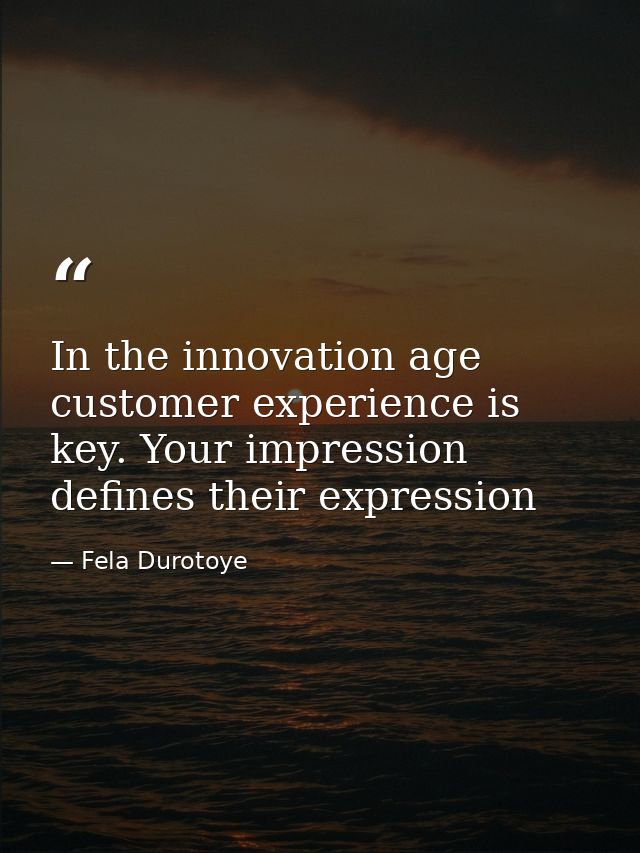 In the innovation age customer experience is key. Your impression defines their expression — Fela Durotoye