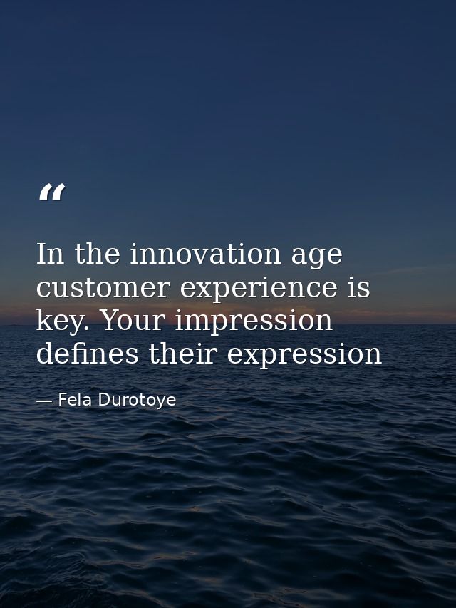 In the innovation age customer experience is key. Your impression defines their expression — Fela Durotoye