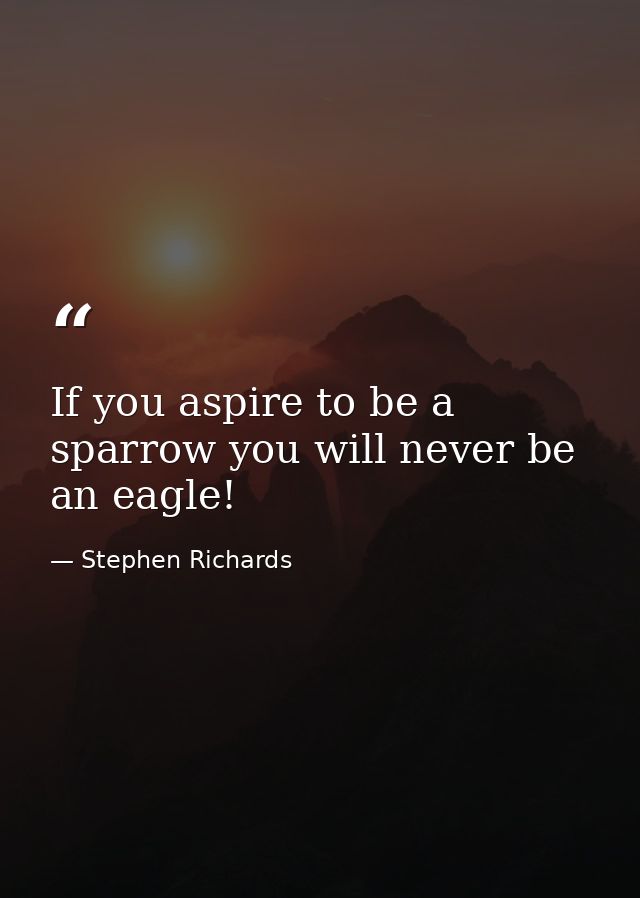 If you aspire to be a sparrow you will never be an eagle! — Stephen Richards