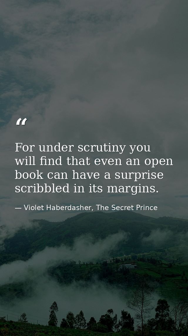For under scrutiny you will find that even an open book can have a surprise scribbled in its margins. — Violet Haberdasher, The Secret Prince
