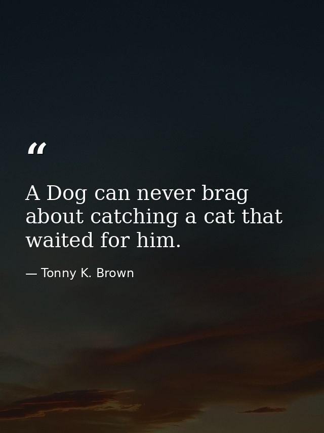 A Dog can never brag about catching a cat that waited for him. — Tonny K. Brown