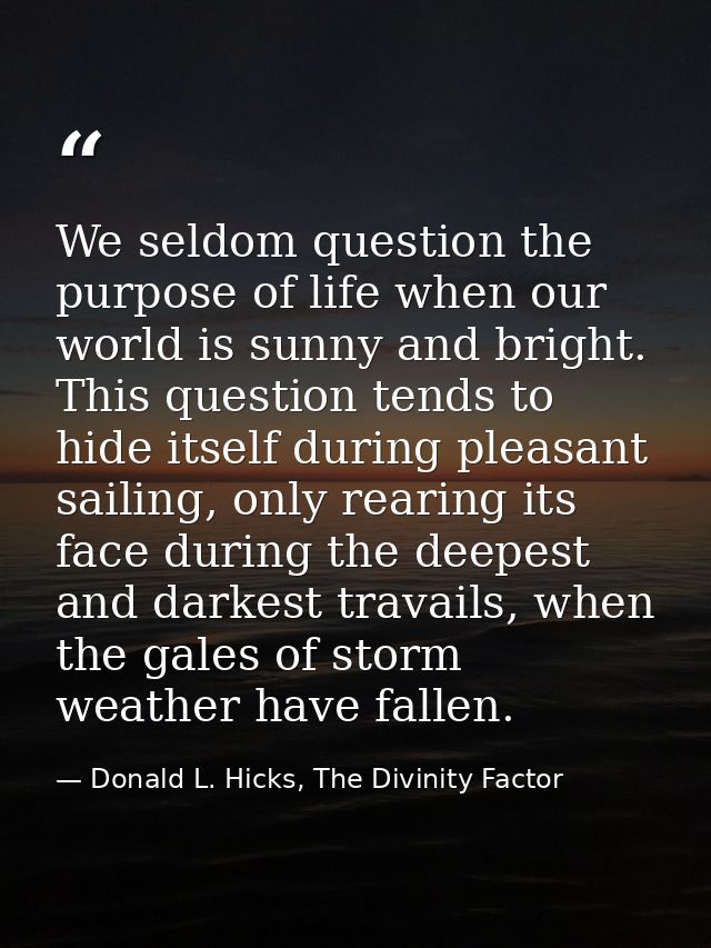 We seldom question the purpose of life when our world is sunny and bright. This question tends to hide itself during ple — Donald L. Hicks, The Divinity Factor