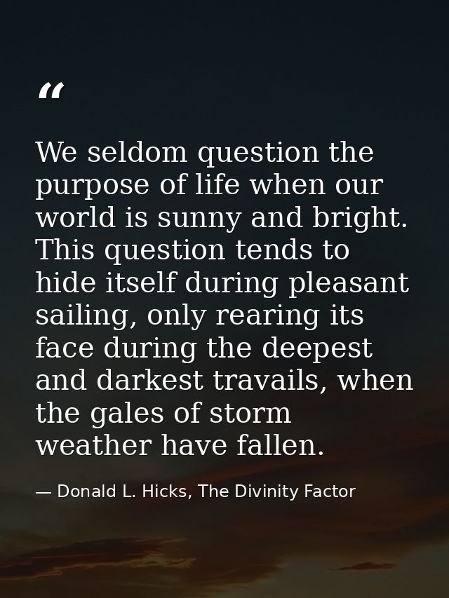 We seldom question the purpose of life when our world is sunny and bright. This question tends to hide itself during ple — Donald L. Hicks, The Divinity Factor