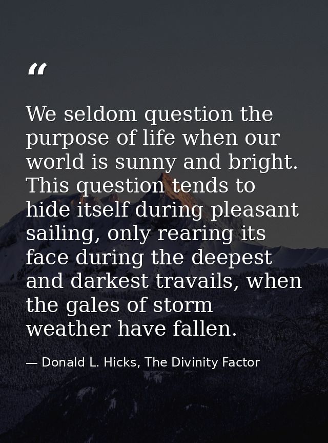 We seldom question the purpose of life when our world is sunny and bright. This question tends to hide itself during ple — Donald L. Hicks, The Divinity Factor