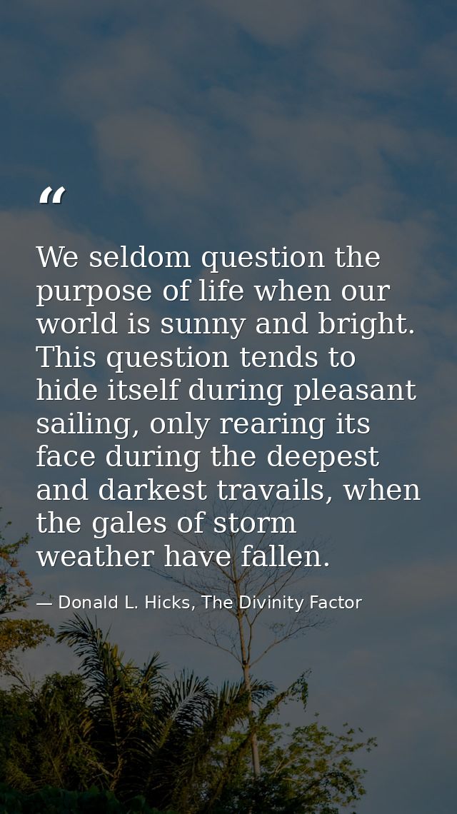 We seldom question the purpose of life when our world is sunny and bright. This question tends to hide itself during ple — Donald L. Hicks, The Divinity Factor