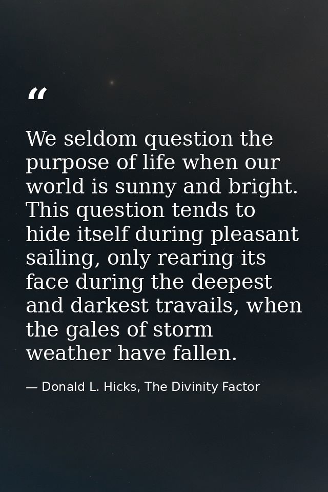 We seldom question the purpose of life when our world is sunny and bright. This question tends to hide itself during ple — Donald L. Hicks, The Divinity Factor