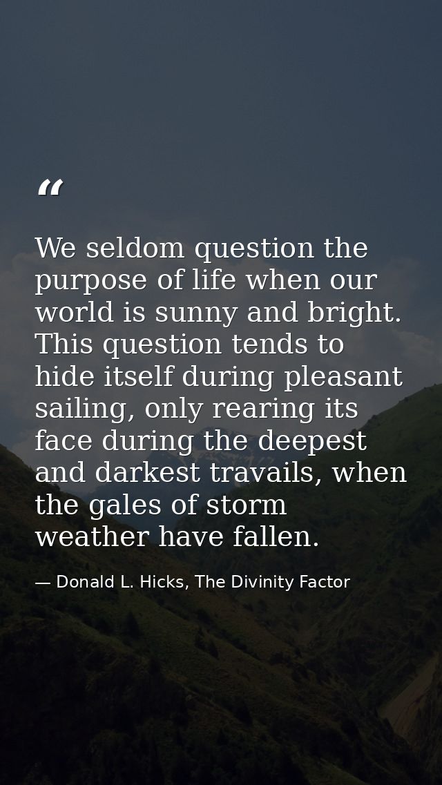 We seldom question the purpose of life when our world is sunny and bright. This question tends to hide itself during ple — Donald L. Hicks, The Divinity Factor