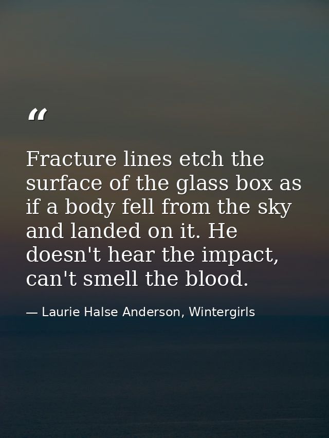 Fracture lines etch the surface of the glass box as if a body fell from the sky and landed on it. He doesn't hear the im — Laurie Halse Anderson, Wintergirls