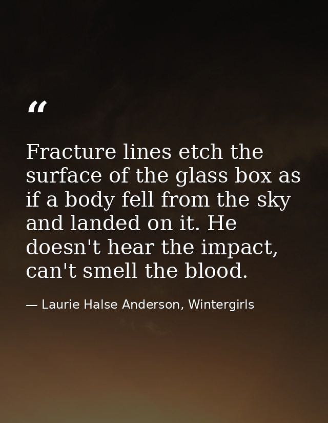 Fracture lines etch the surface of the glass box as if a body fell from the sky and landed on it. He doesn't hear the im — Laurie Halse Anderson, Wintergirls
