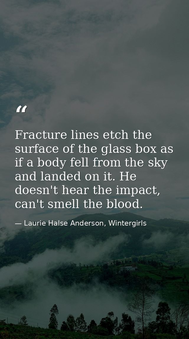 Fracture lines etch the surface of the glass box as if a body fell from the sky and landed on it. He doesn't hear the im — Laurie Halse Anderson, Wintergirls