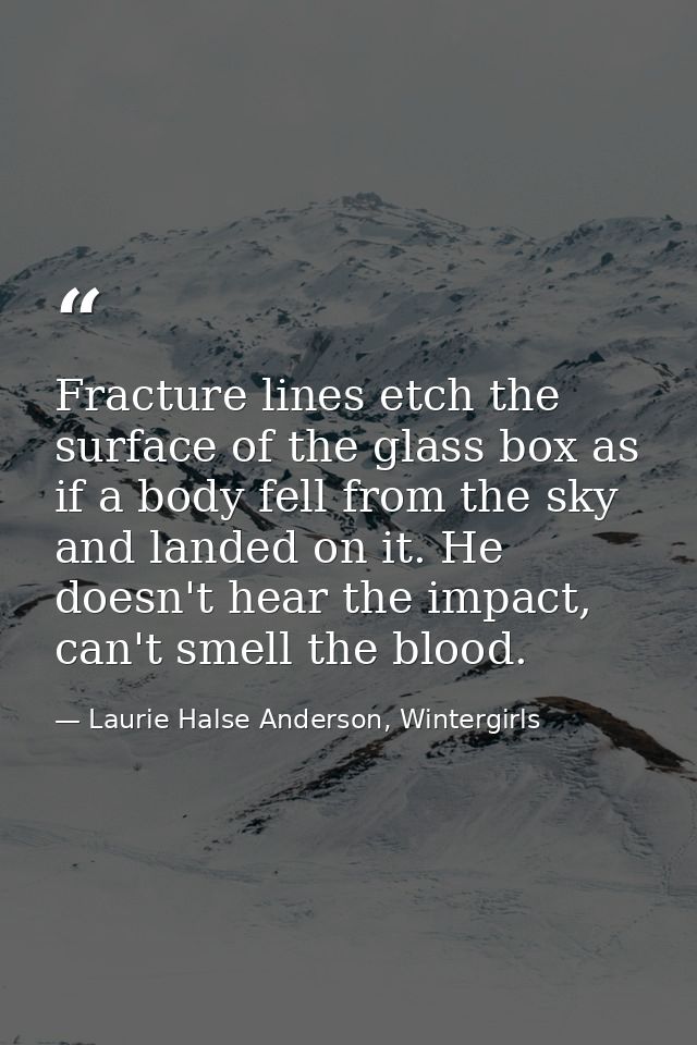 Fracture lines etch the surface of the glass box as if a body fell from the sky and landed on it. He doesn't hear the im — Laurie Halse Anderson, Wintergirls