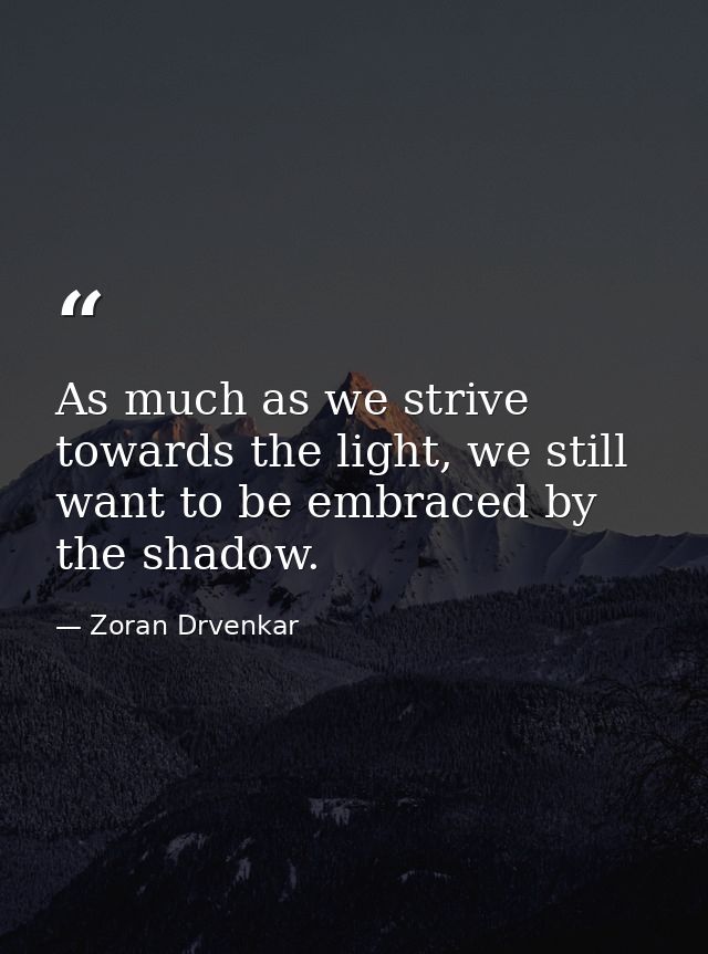 As much as we strive towards the light, we still want to be embraced by the shadow. — Zoran Drvenkar