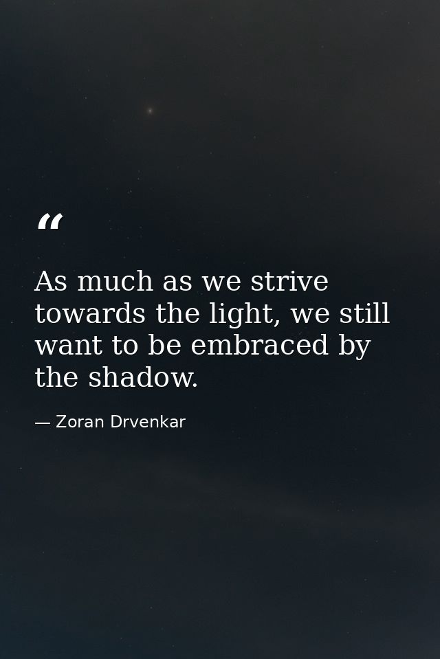 As much as we strive towards the light, we still want to be embraced by the shadow. — Zoran Drvenkar