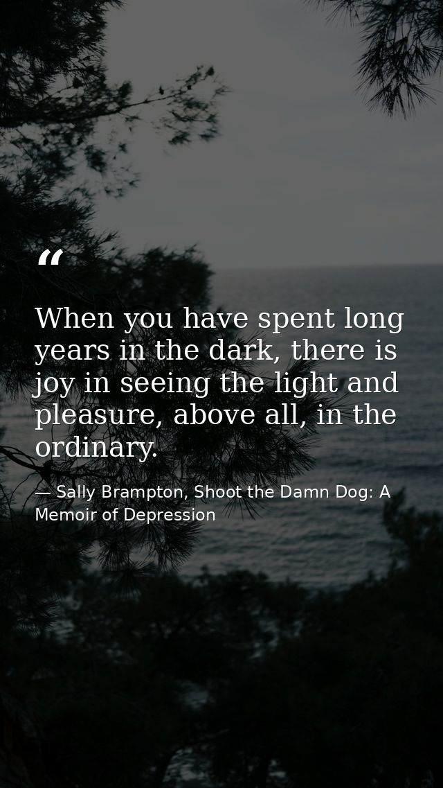 When you have spent long years in the dark, there is joy in seeing the light and pleasure, above all, in the ordinary. — Sally Brampton, Shoot the Damn Dog: A Memoir of Depression