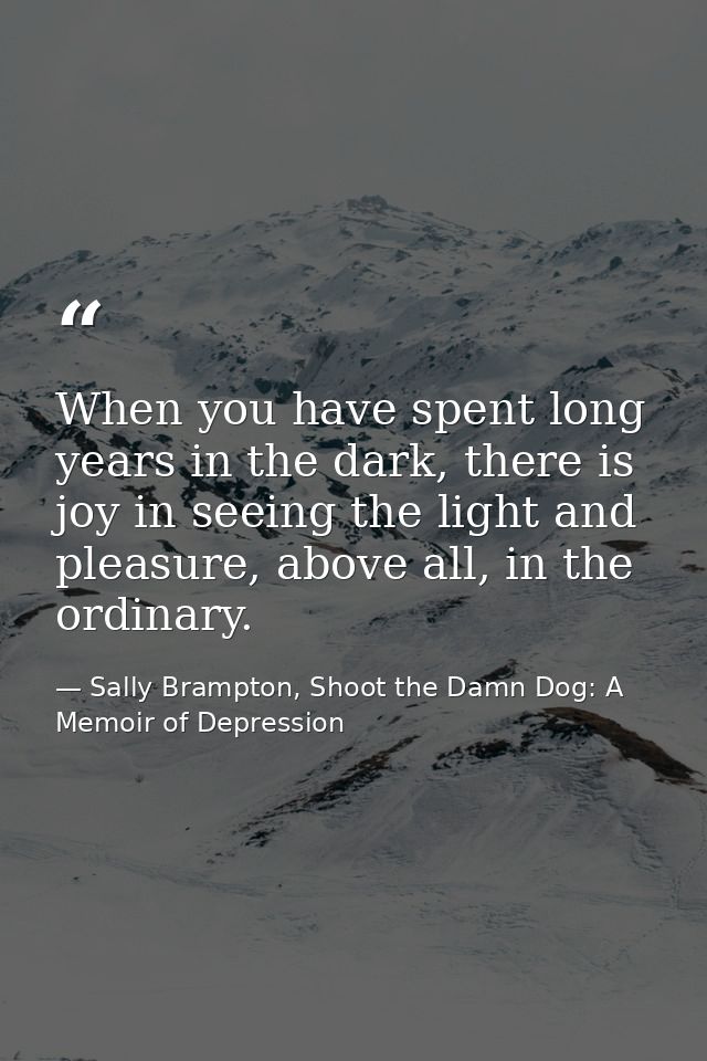 When you have spent long years in the dark, there is joy in seeing the light and pleasure, above all, in the ordinary. — Sally Brampton, Shoot the Damn Dog: A Memoir of Depression