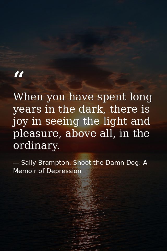 When you have spent long years in the dark, there is joy in seeing the light and pleasure, above all, in the ordinary. — Sally Brampton, Shoot the Damn Dog: A Memoir of Depression