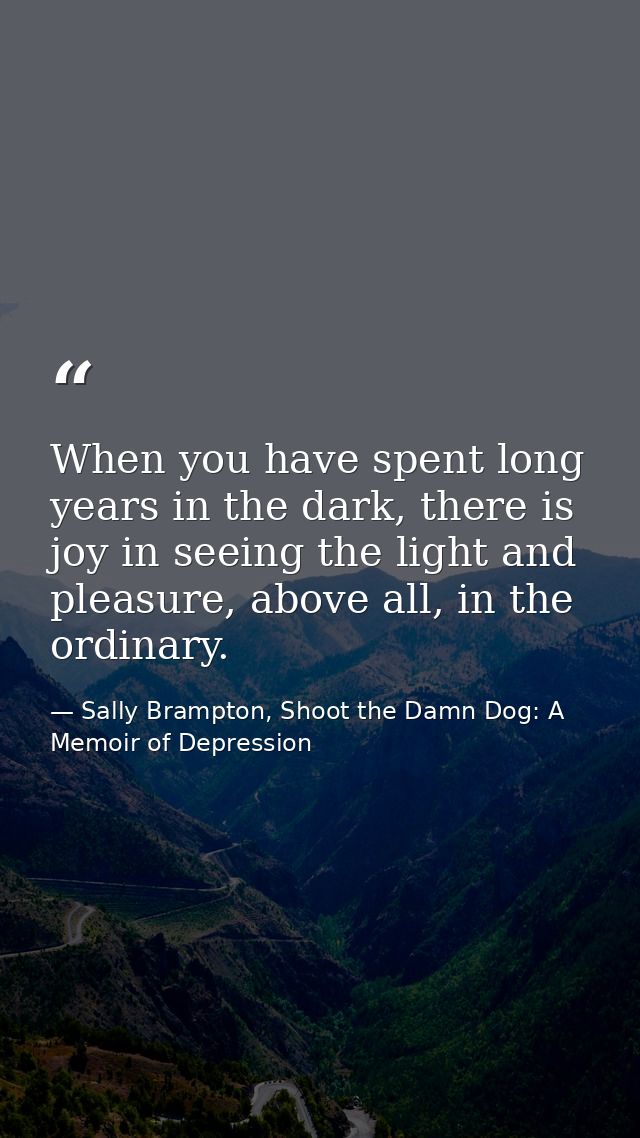 When you have spent long years in the dark, there is joy in seeing the light and pleasure, above all, in the ordinary. — Sally Brampton, Shoot the Damn Dog: A Memoir of Depression