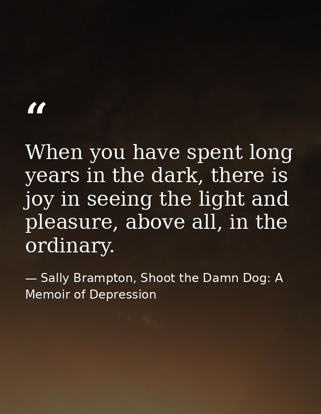 When you have spent long years in the dark, there is joy in seeing the light and pleasure, above all, in the ordinary. — Sally Brampton, Shoot the Damn Dog: A Memoir of Depression