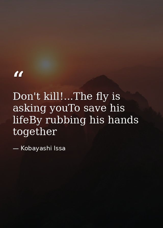 Don't kill!...The fly is asking youTo save his lifeBy rubbing his hands together — Kobayashi Issa