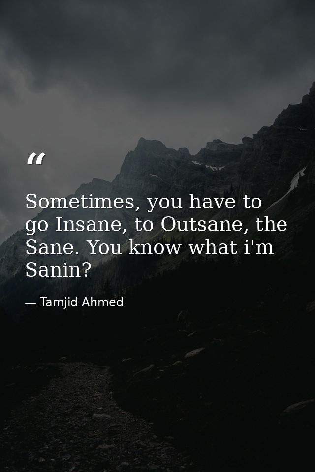 Sometimes, you have to go Insane, to Outsane, the Sane. You know what i'm Sanin? — Tamjid Ahmed